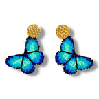 Blue Morpho