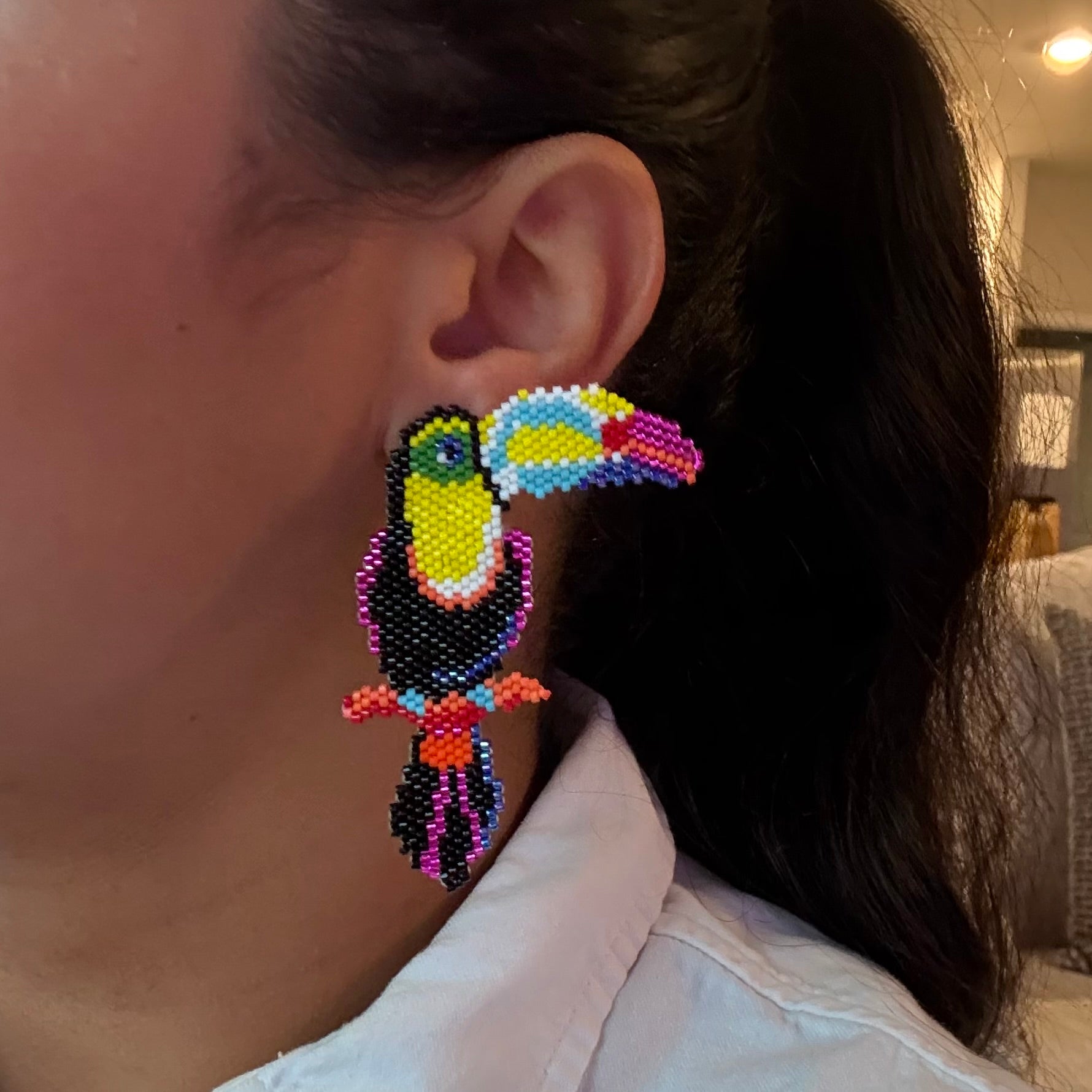 Tropical Toucan Earrings