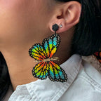 Green and Orange Butterfly