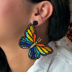 Blue and Orange Butterfly
