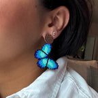 Blue Morpho