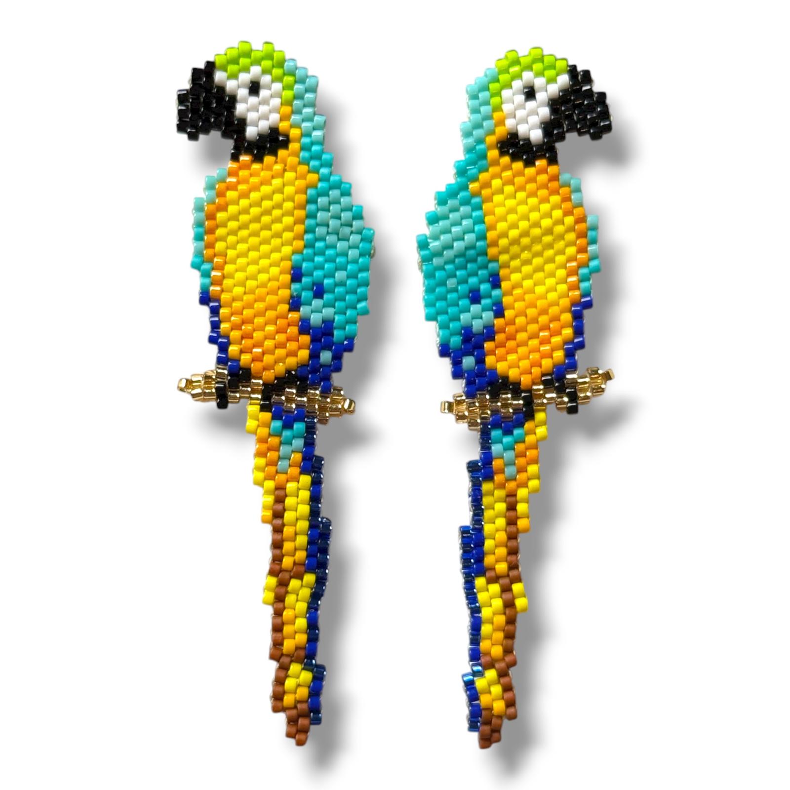 Blue and Yellow Macaw