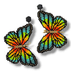 Green and Orange Butterfly